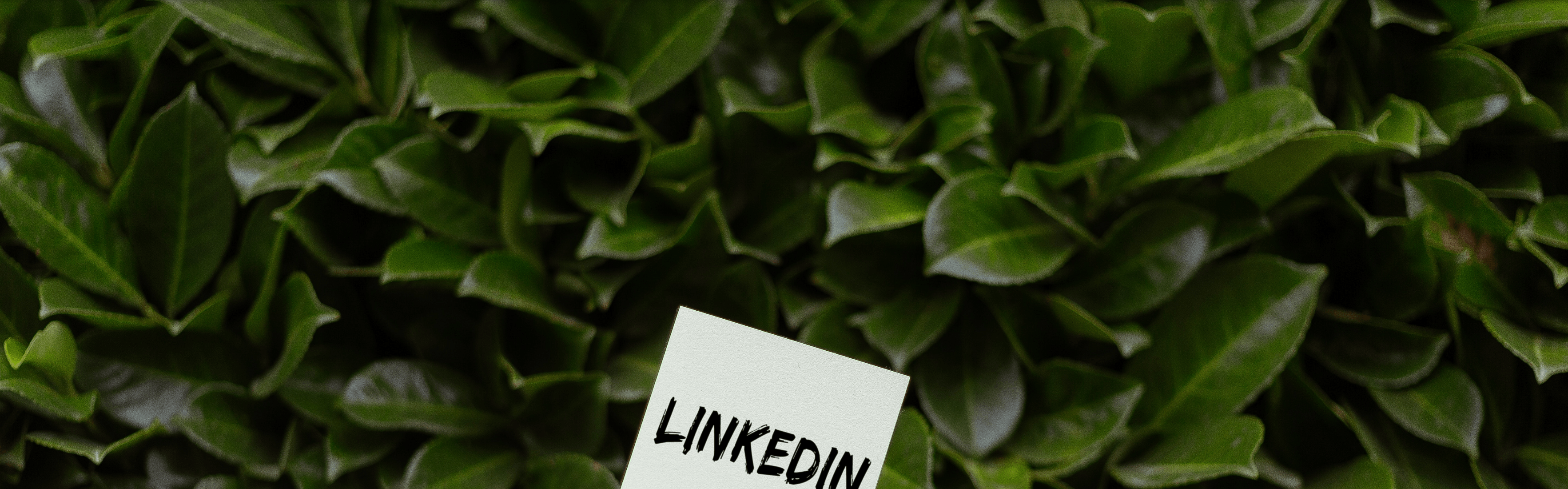 10 tips para posicionarte en LinkedIn