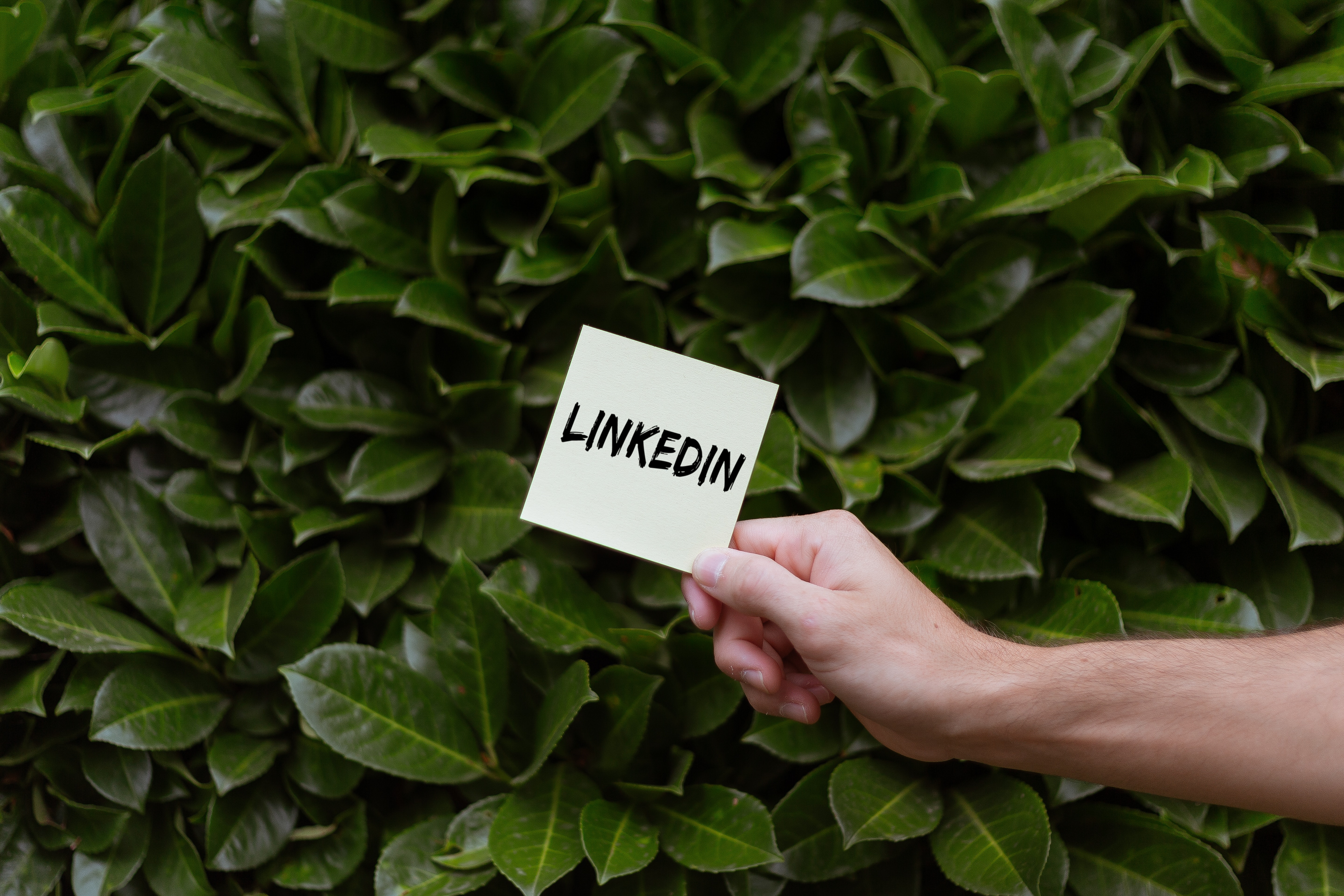 10 tips para posicionarte en LinkedIn